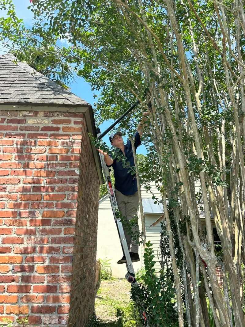 Crew member on a ladder working at the eave of a brick home beside crepe myrtles
